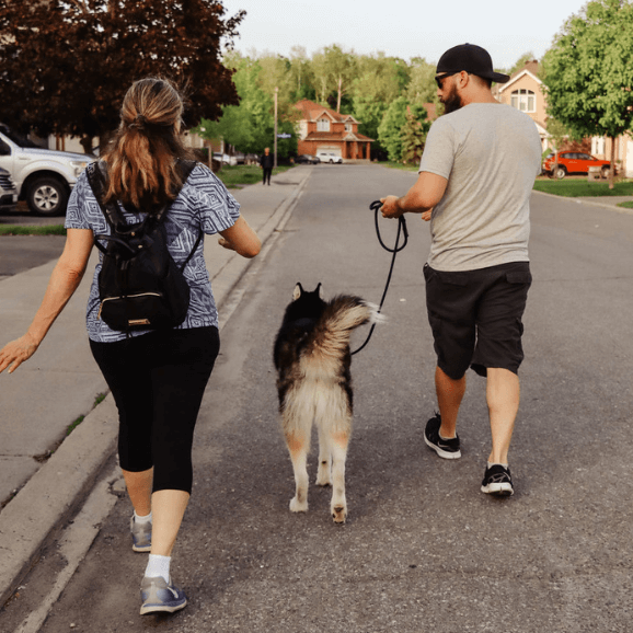 Ottawa dog training expert Shayne Allen shows a client how to walk a dog correctly.