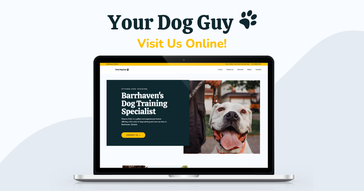 Ottawa Dog Training Your Dog Guy